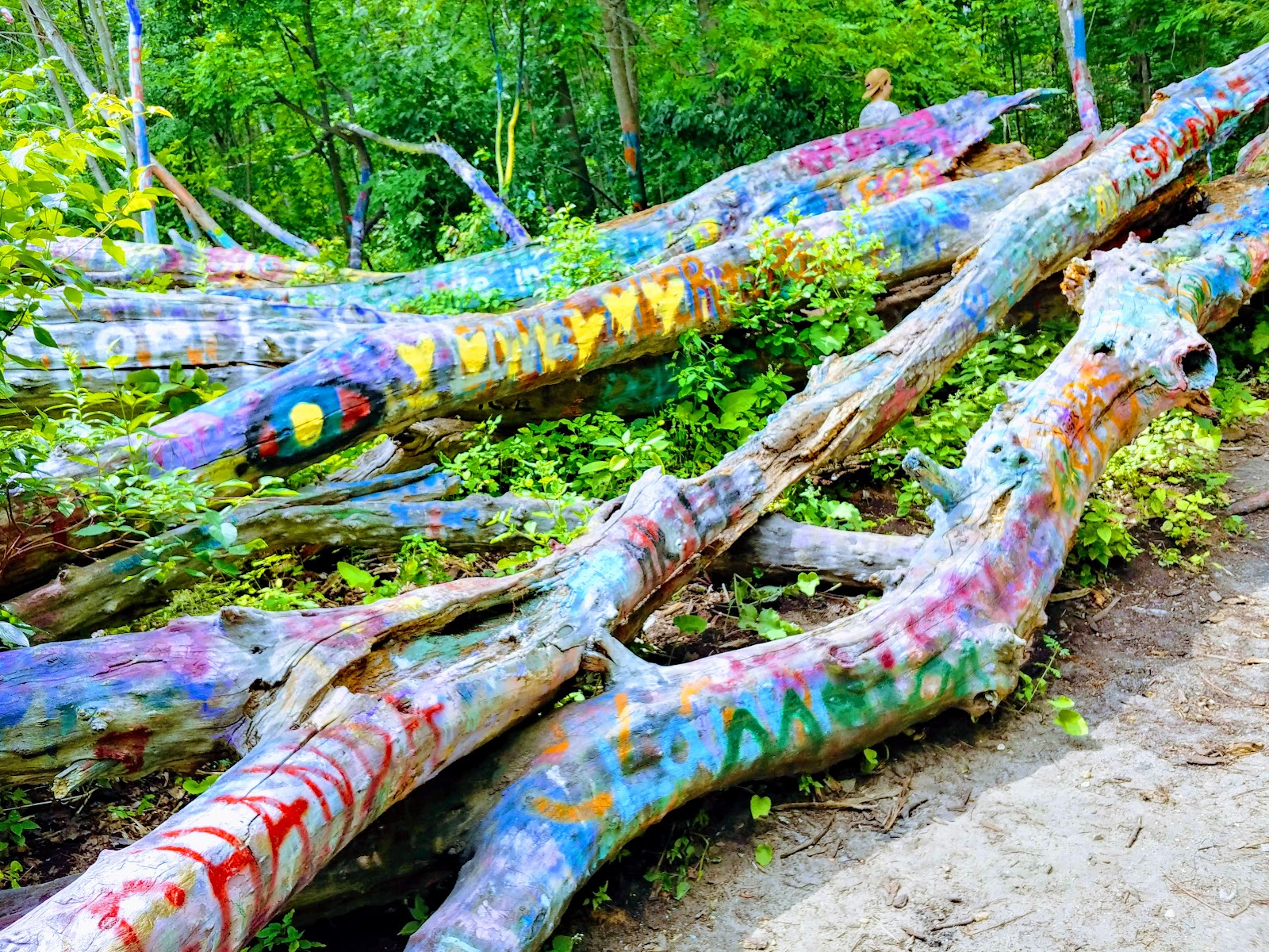 The Hippie Tree
