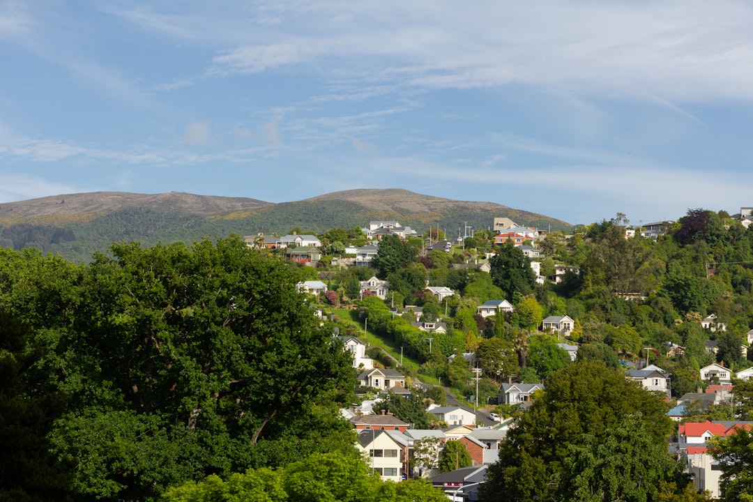 Buena Vista Park
