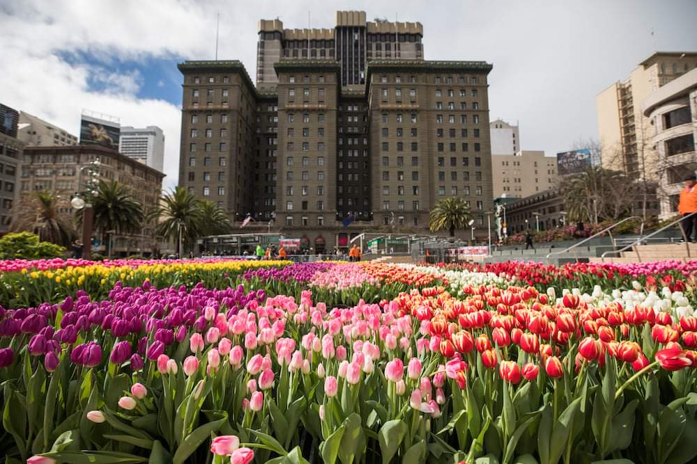 Union Square