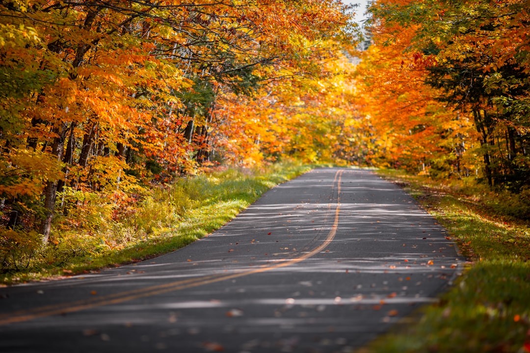 Northern Michigan