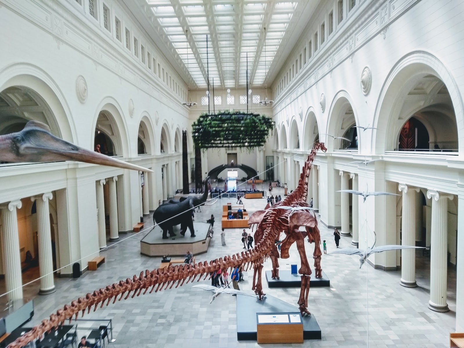 Museum Campus: Landfill of Dreams