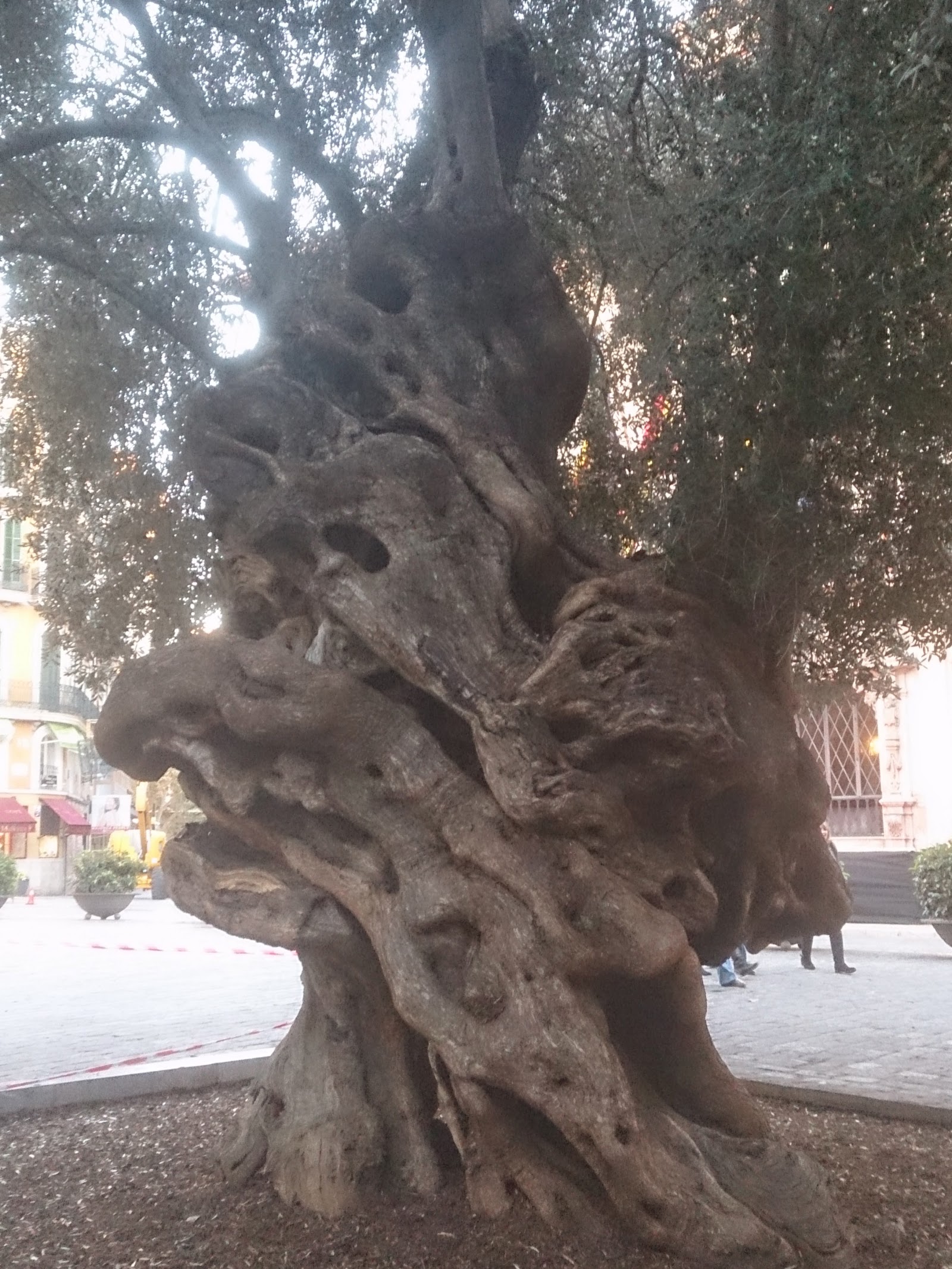 Plaça de Cort